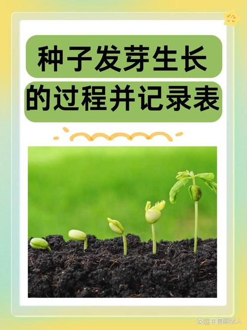 种子生成系统全文txt百度云截图