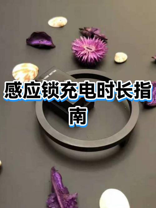 感应充电器怎么使用方法