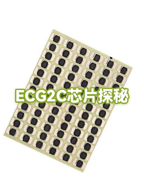 ecg芯片截图