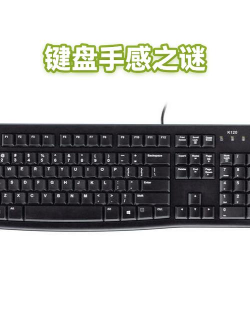 键盘上的w是什么
