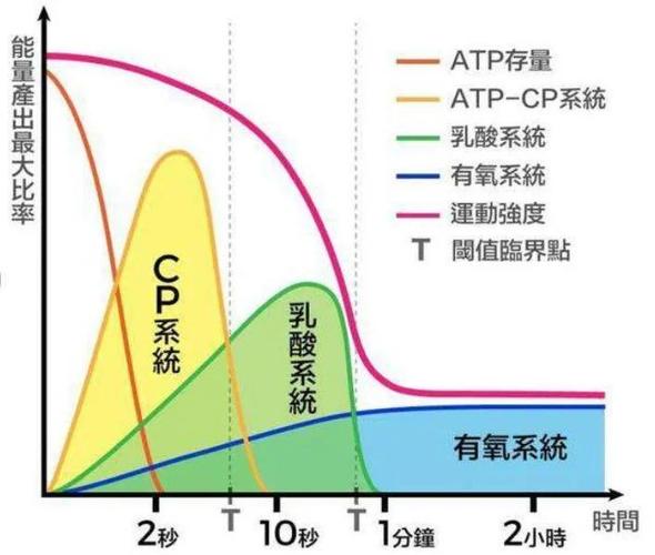 打王者消耗热量吗截图