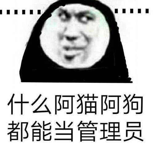 阿猫阿狗算骂人吗