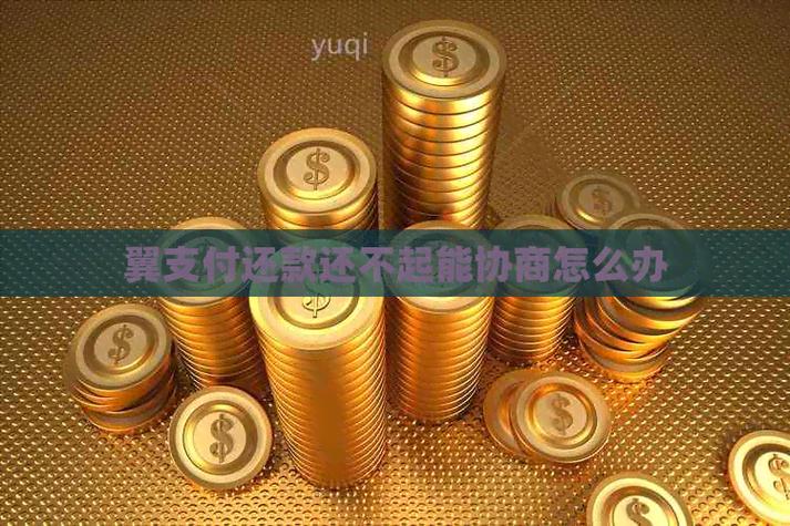 翼支付还款还不进去怎么办游戏截图