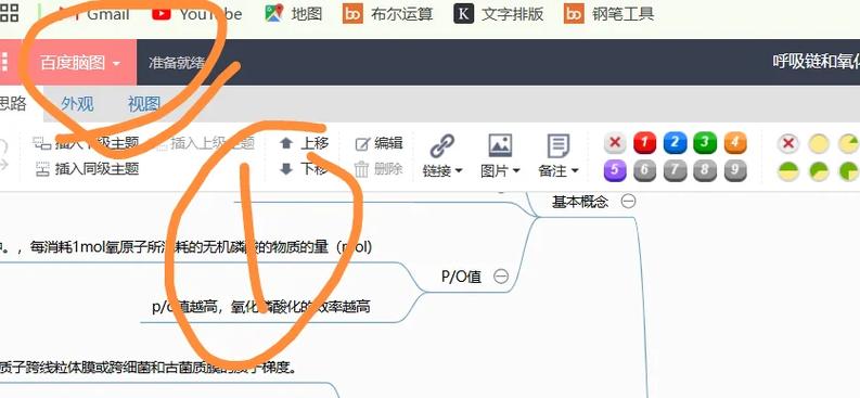 问卷星可以导出word吗