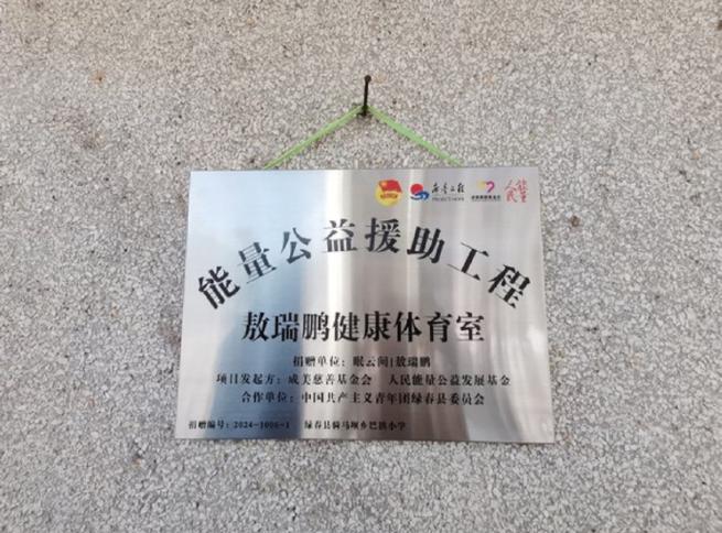 中国十大公益组织游戏截图