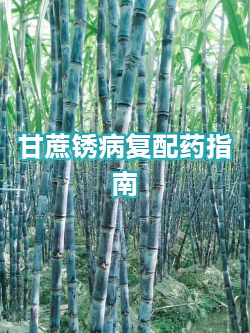甘蔗的合成配方图标
