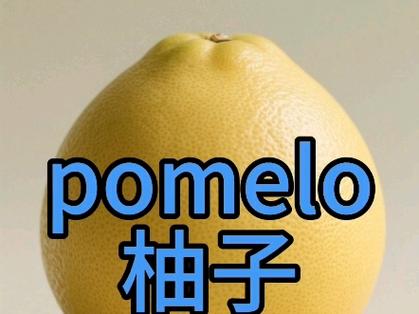 柚子英语pomelo