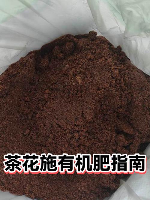 茶花适合什么肥料缩略图