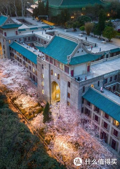 武汉大学看樱花什么时间最好