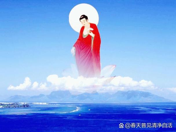 失去修为,被女徒弟冲师逆徒小说