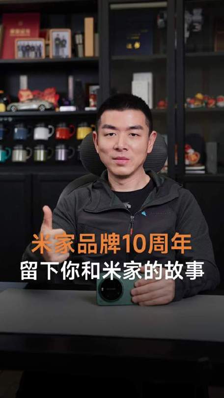 我的米家