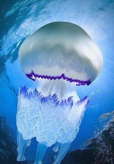 海底奇观