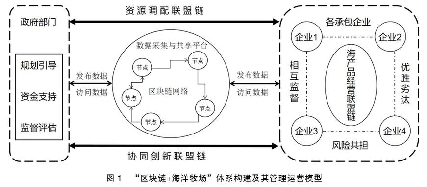 我国区块链团队建设解决方案包括