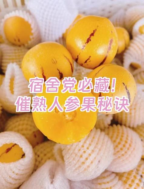人参果需要催熟吗