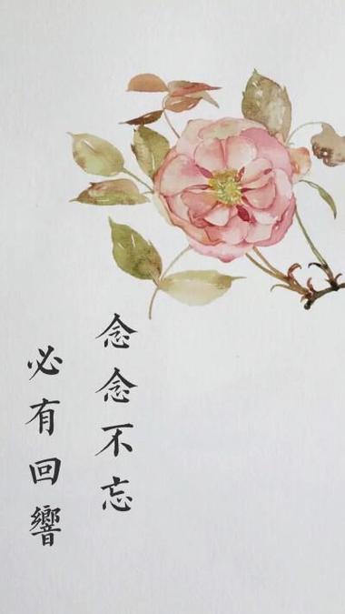 念念不忘为什么没考上同一所大学