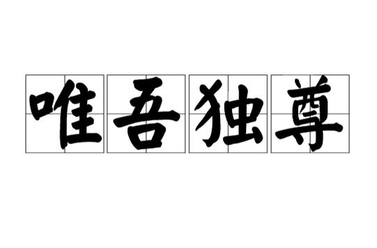 唯吾独尊图标