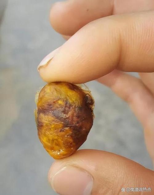 孵小鸡用的温控器