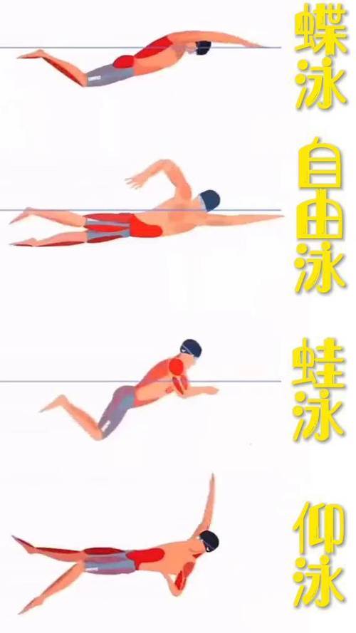 哪种泳姿最练体型