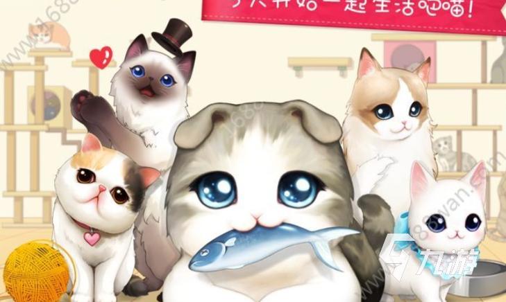2021新版猫咪官网最新版图标