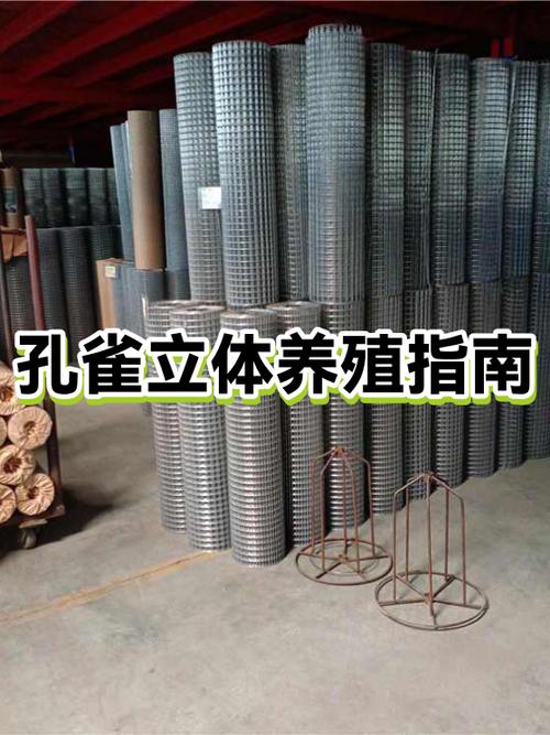 孔雀养殖