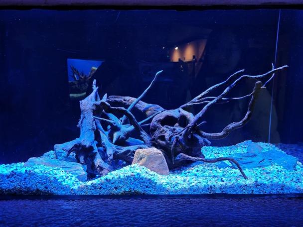 为什么水族馆挣不到钱
