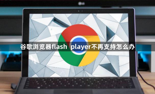 新版谷歌没有flash设置