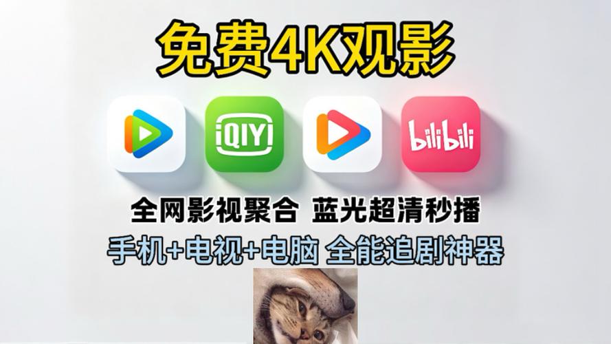 追剧4k图标