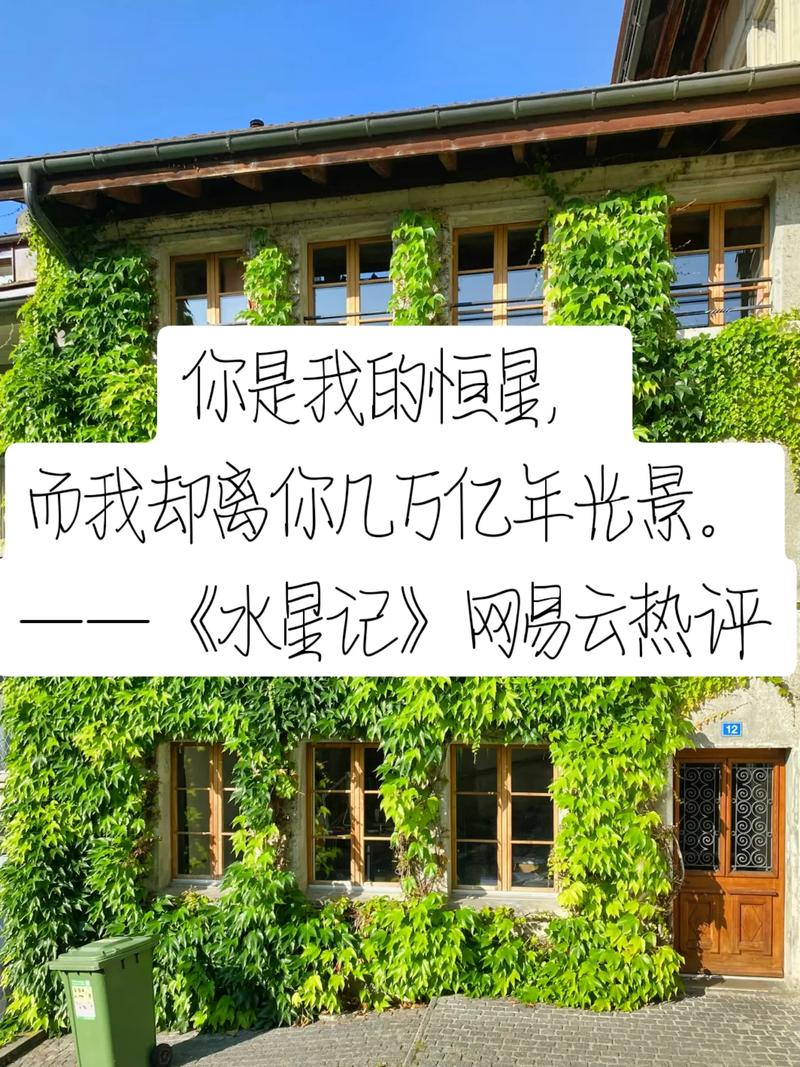 水星记网易云最火评论