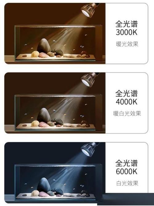 鱼缸灯光怎么选截图