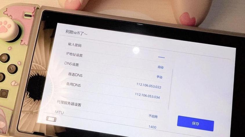 switch2025最佳dns
