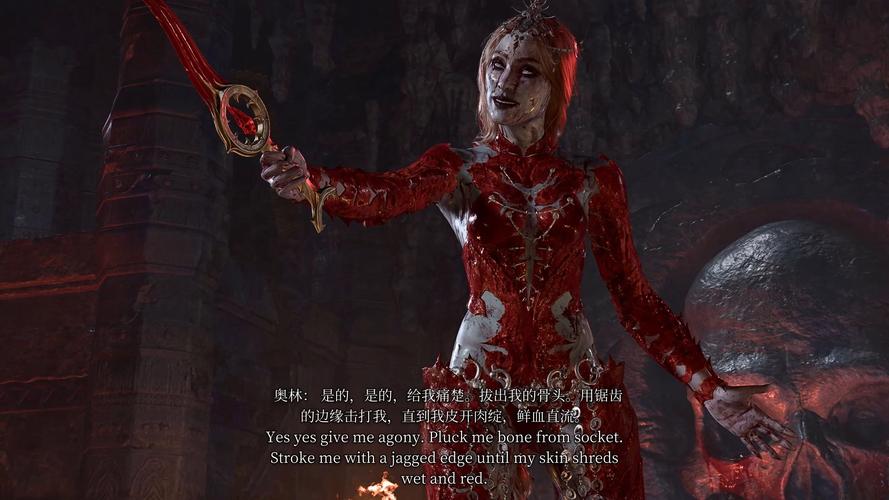 博德之门2逃离疯人院