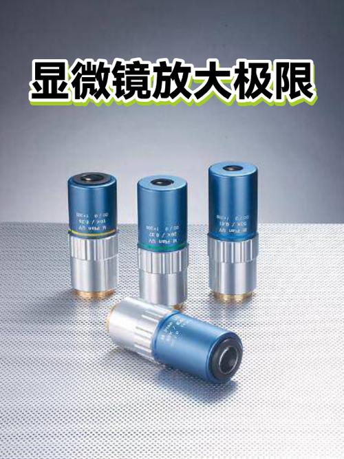 调大地图到最大