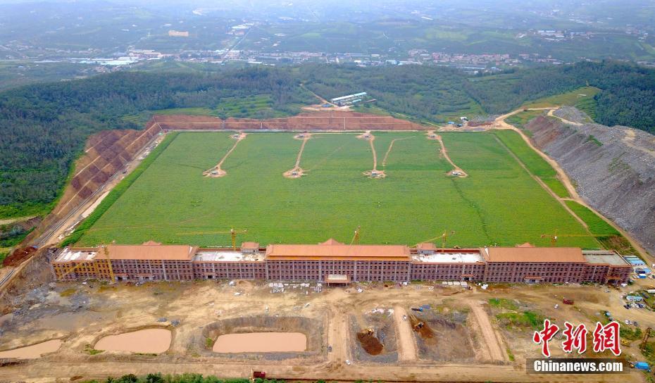 太阳花集团游戏截图