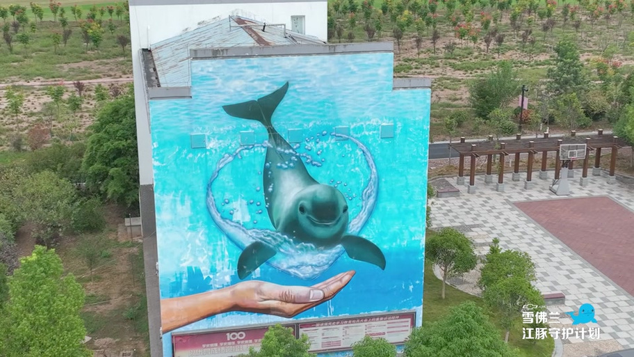 公益广告鲸鱼
