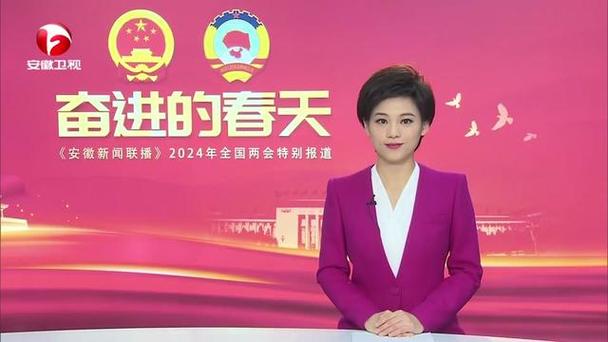 安徽卫视节目回放观看