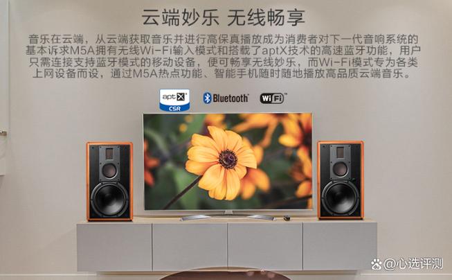 惠威m5a有蓝牙功能嘛