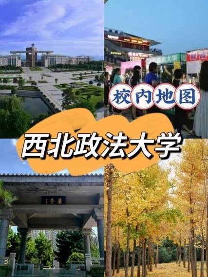 西北政法大学含金量高吗截图