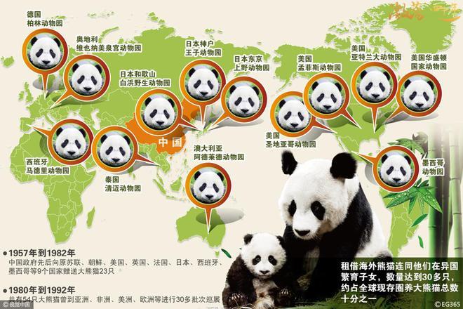 大熊猫租给国家名单