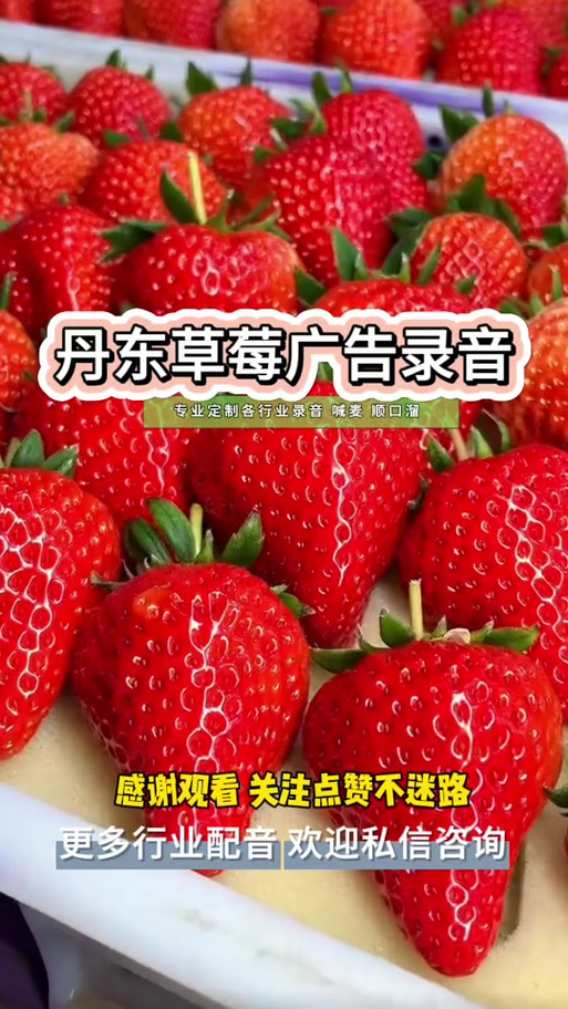 草莓叫卖顺口溜10句图标