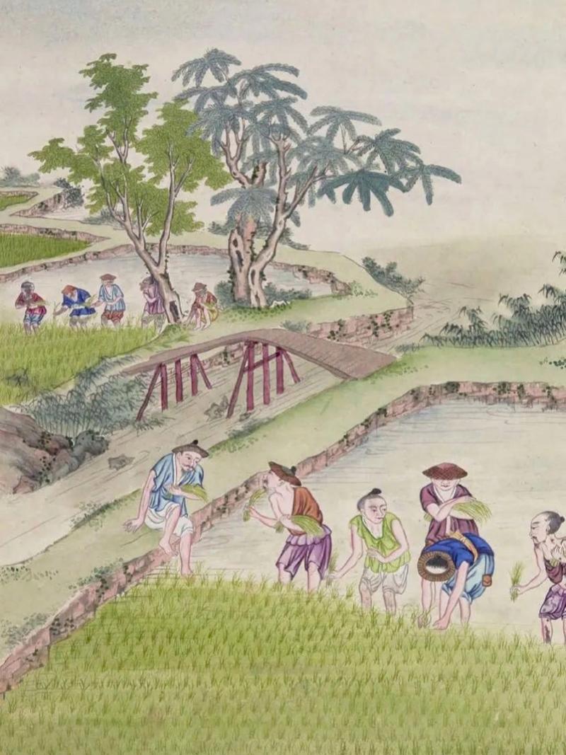《农场通古今》全集观看