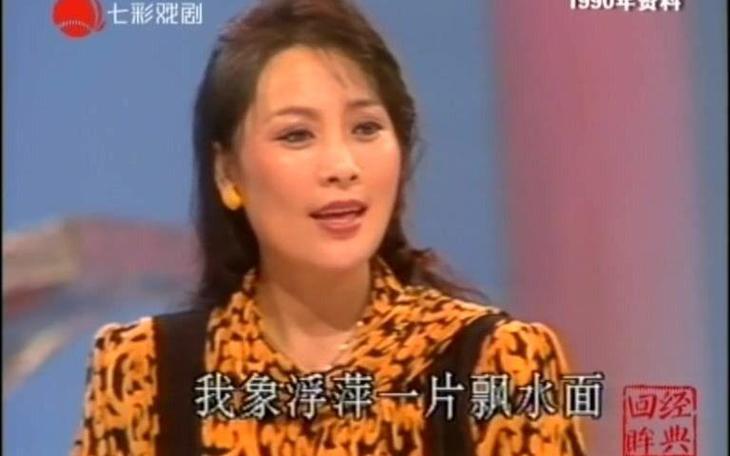 沪剧雾中人的介绍