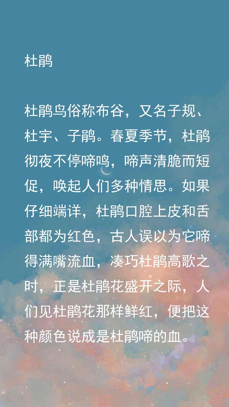 小布谷寓意什么