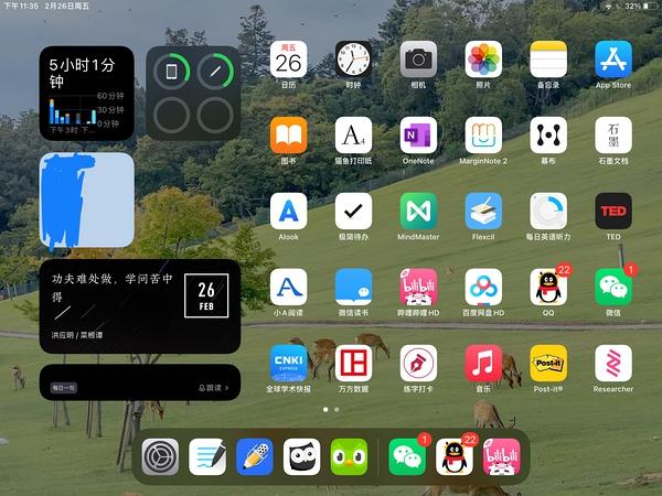 ipad桌面上的小圆点怎么关闭缩略图