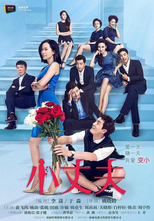 小丈夫电视剧全集在线观看 免费