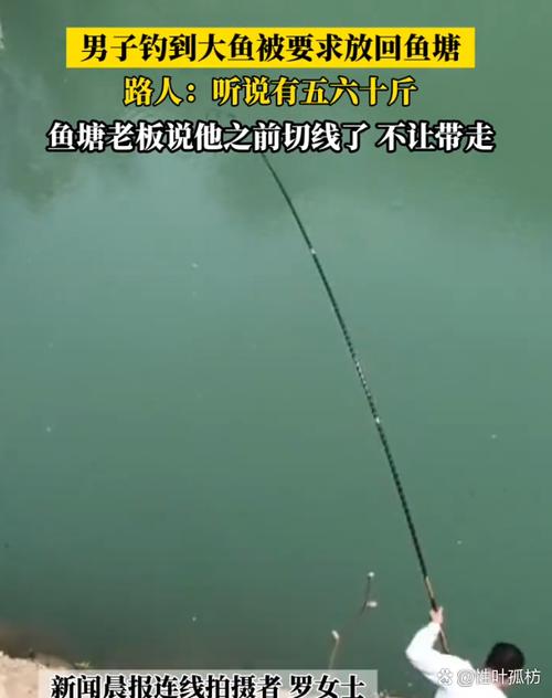 5号主线钓多大的鱼