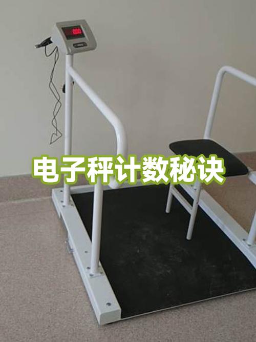 电子秤计算数量的方法截图