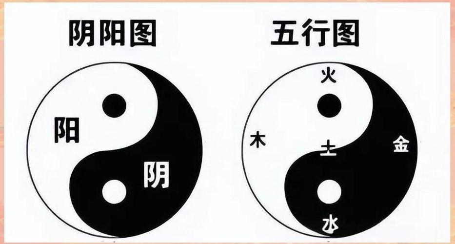 人体左右阴阳