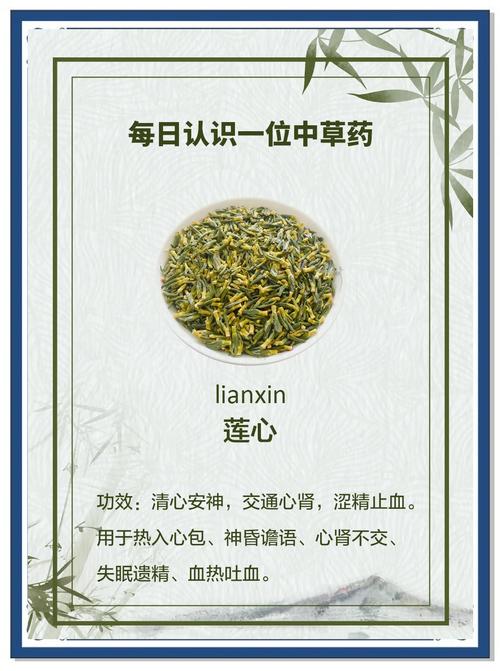 莲心茶泡水能壮阳吗缩略图