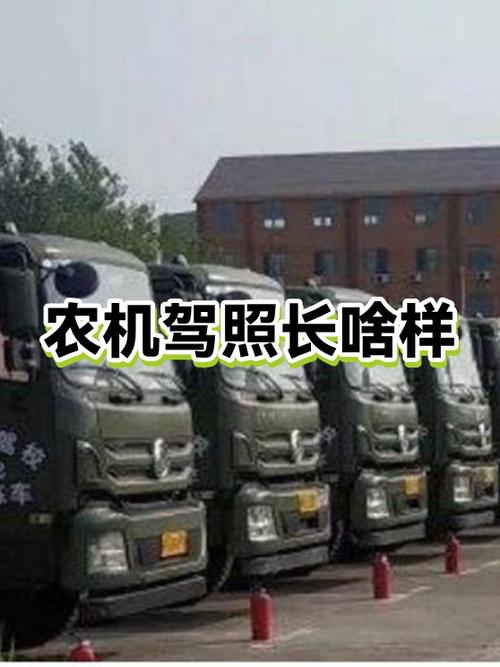 农机网查询驾照