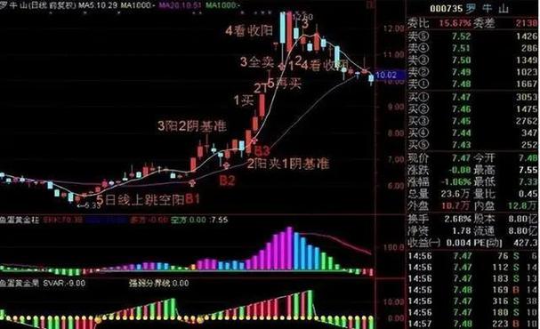 蚂蚁上树 股票